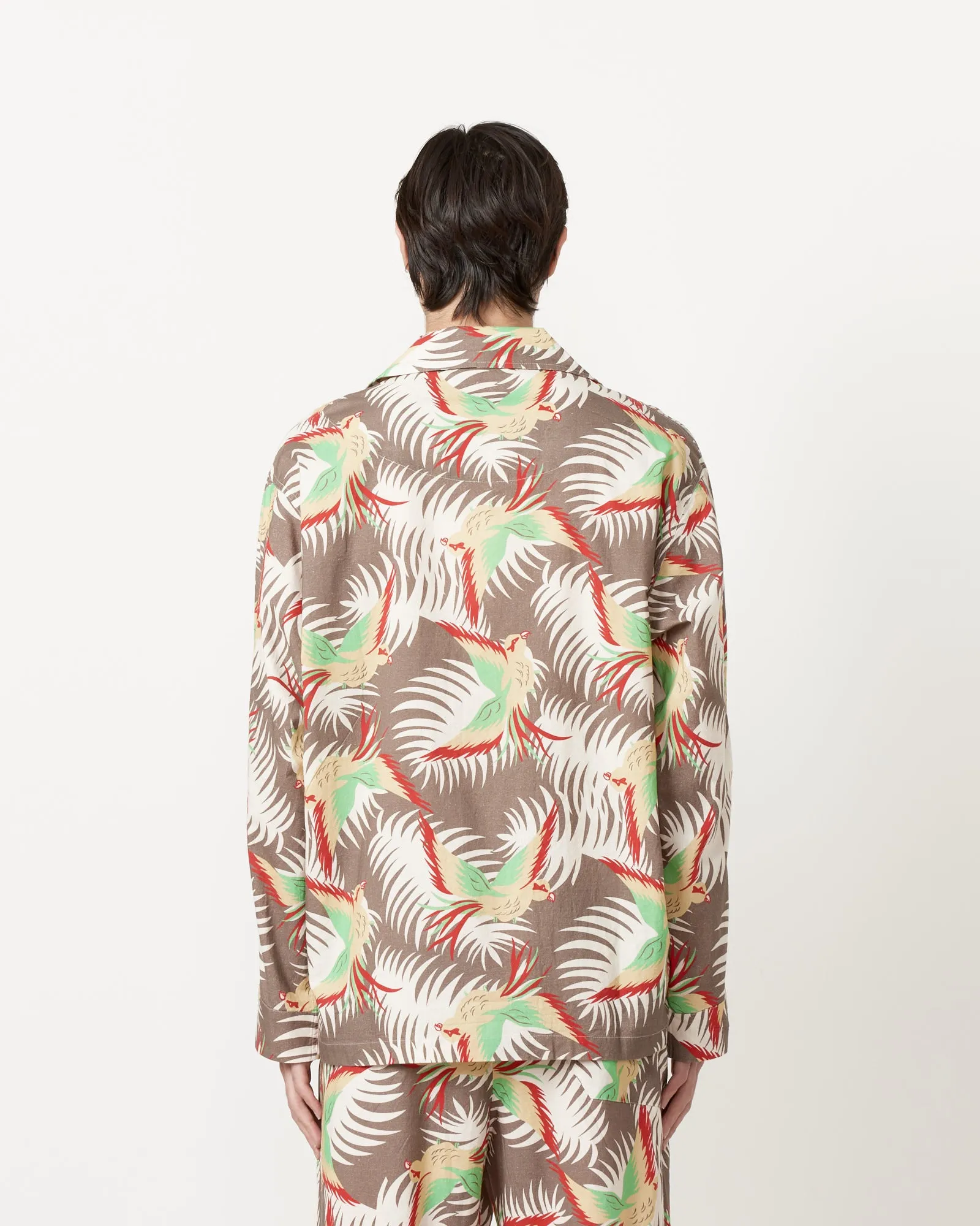 Sun Conure Long Sleeve Shirt in Multi