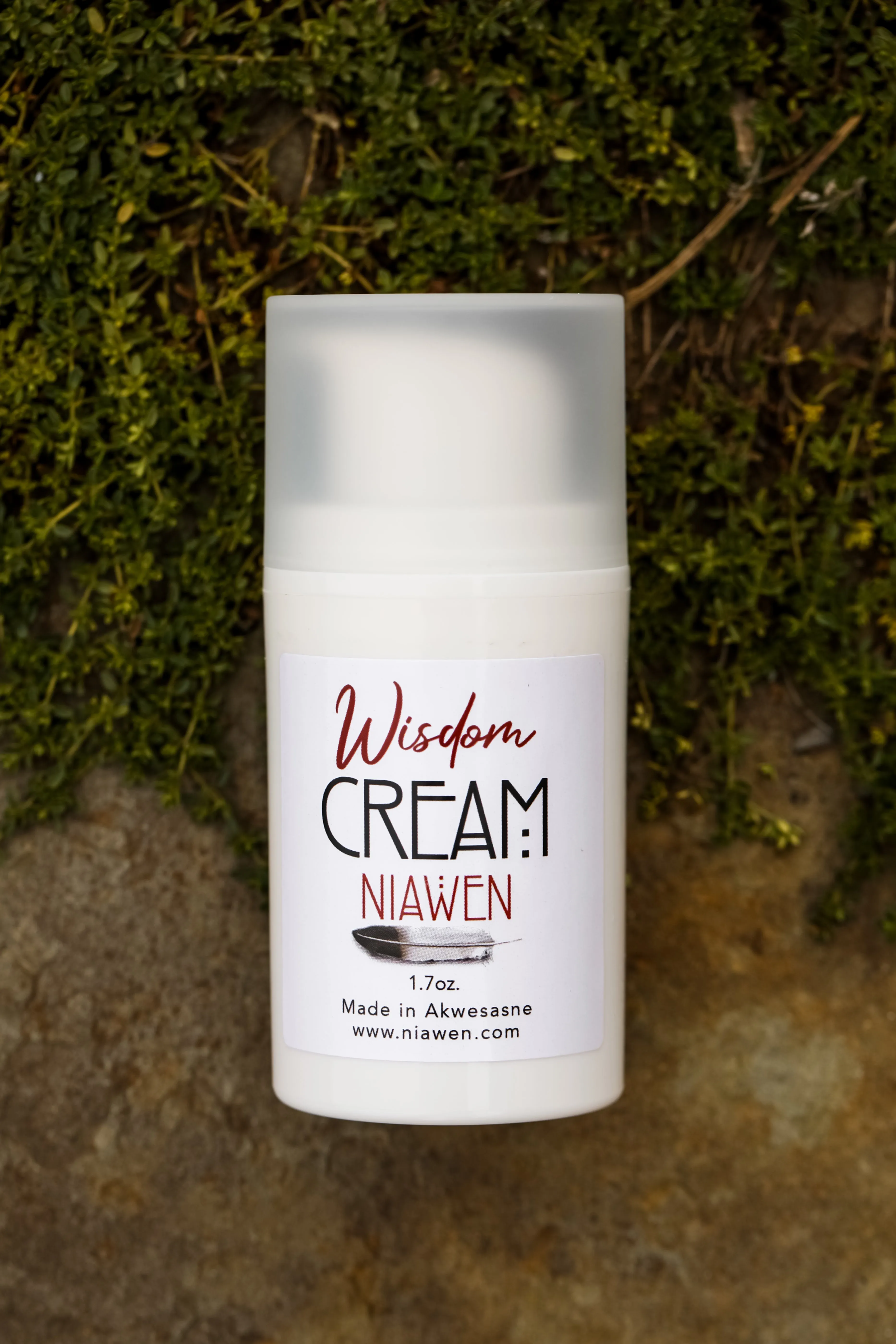 Wisdom Cream Birch/ Chaga